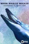 When Whales Walked: Journeys in Deep Time Movie Streaming Online