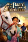 Where Is Winky's Horse? Movie Streaming Online
