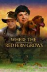 Where the Red Fern Grows Movie Streaming Online