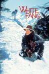 White Fang Movie Streaming Online