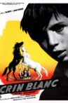 White Mane Movie Streaming Online