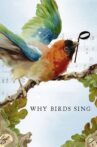 Why Birds Sing Movie Streaming Online