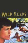 Wild Reeds Movie Streaming Online