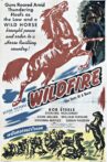 Wildfire Movie Streaming Online