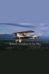 Wings: Grandeur in the Sky Movie Streaming Online