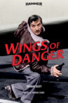 Wings of Danger Movie Streaming Online