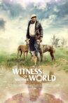 Witness of Another World Movie Streaming Online