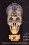 WWE Survivor Series 1998 Movie Streaming Online
