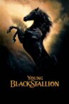 Young Black Stallion Movie Streaming Online