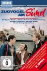 Zugvogel am Sund Movie Streaming Online