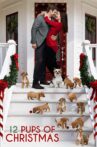 12 Pups of Christmas Movie Streaming Online