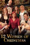 12 Wishes of Christmas Movie Streaming Online
