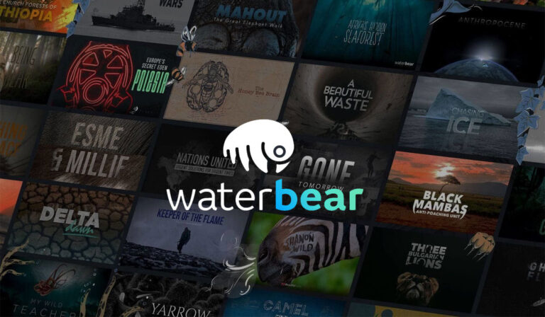 Now, A New Streaming Service Dedicated Only To Climate Documentaries