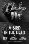 A Bird in the Head Movie Streaming Online