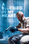 A Bluebird in My Heart Movie Streaming Online