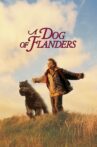 A Dog of Flanders Movie Streaming Online