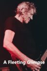 A Fleeting Glimpse Movie Streaming Online