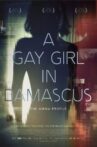 A Gay Girl in Damascus: The Amina Profile Movie Streaming Online