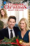 A Godwink Christmas: Meant For Love Movie Streaming Online