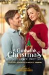 A Godwink Christmas: Second Chance, First Love Movie Streaming Online