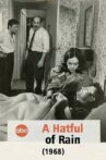 A Hatful of Rain Movie Streaming Online