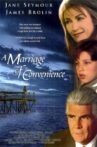 A Marriage of Convenience Movie Streaming Online