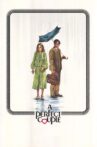 A Perfect Couple Movie Streaming Online