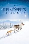 A Reindeer's Journey Movie Streaming Online