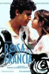 A Rose from France Movie Streaming Online