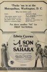 A Son of the Sahara Movie Streaming Online