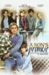 A Son's Promise Movie Streaming Online