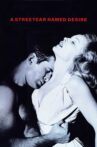A Streetcar Named Desire Movie Streaming Online