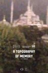 A Topography of Memory Movie Streaming Online