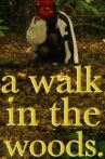 A Walk in the Woods Movie Streaming Online