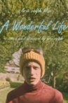 A Wonderful Life Movie Streaming Online