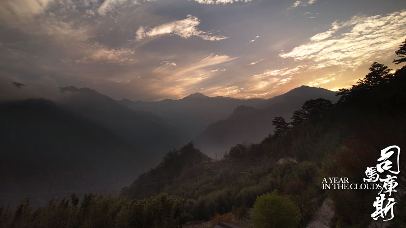 ANYTHING GOES WALLPAPER 4K