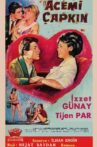 Acemi Çapkın Movie Streaming Online