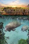 Adventure Everglades 3D - The Manatees of Crystal River Movie Streaming Online