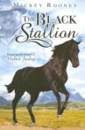 Adventures of the Black Stallion Movie Streaming Online