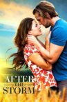 After the Storm Movie Streaming Online