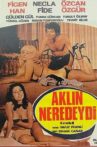 Aklın Neredeydi Movie Streaming Online