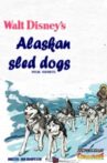 Alaskan Sled Dog Movie Streaming Online