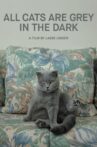 All Cats Are Grey in the Dark Movie Streaming Online