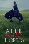 All the Wild Horses Movie Streaming Online
