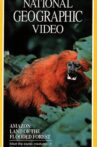Amazon: Land of the Flooded Forest Movie Streaming Online