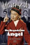 An Angel Has Appeared Movie Streaming Online