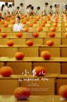 An Insignificant Affair Movie Streaming Online