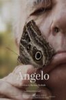 Ângelo Movie Streaming Online