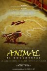 Animal Movie Streaming Online