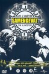 Arie & Silvester: Samengevat Movie Streaming Online